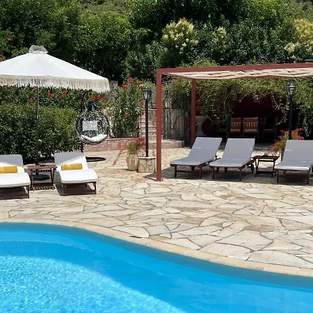 فيلة Emiliata سبارتيا